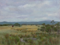 'Tea tree swamp Glengarry' . Alexandra Sasse. Oil on canvas. 2015